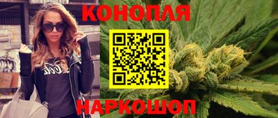 твердый Бийск