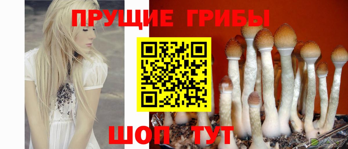 Изобильный  Галлюциногенные грибы ЛСД  Вход с VPN 