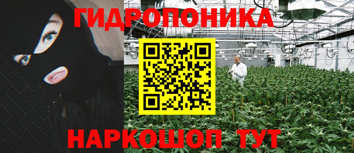 Канабис сатива  Вход с VPN  Бошки марихуана марихуана  Изобильный  Бошки марихуана конопля 